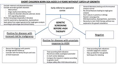 Genetic Screening for Growth Hormone Therapy in Children Small for Gestational Age: So Much to Consider, Still Much to Discover